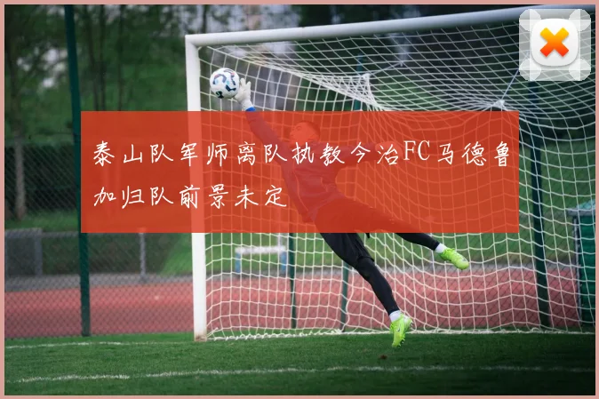 泰山队军师离队执教今治FC马德鲁加归队前景未定